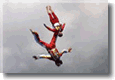free fly